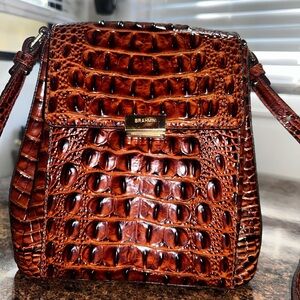 Perfect condition Brahmin